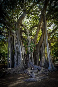 DSC01572 (1).jpg